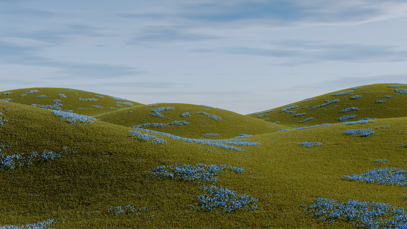 beautifulfield